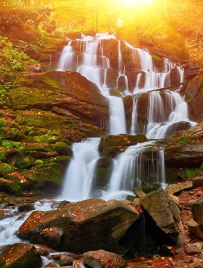 Büyüleyici sonbahar sezonunda Shipit Şelalesi 'nin büyüleyici güzelliğine dalın. Sonbahar renklerinden oluşan canlı bir duvar halısı arasında çağlayan suların coşkulu coşkusunu hisset. Şelale ile şelale birleşirken doğanın başyapıtı gözler önüne seriliyor.