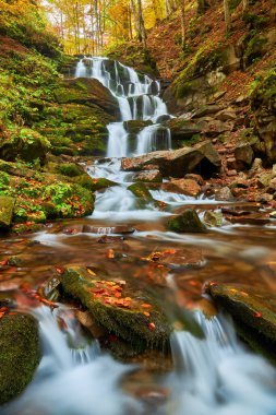 Karpat Dağları 'nın sonbahar ormanlarında güzel şelale gemisi
