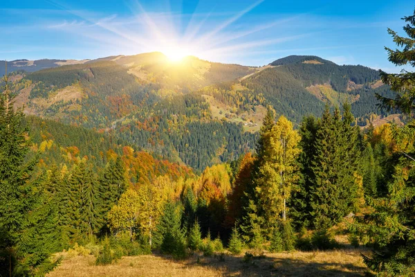 Paisagem Outono Montanha Com Floresta Colorida — Fotografia de Stock