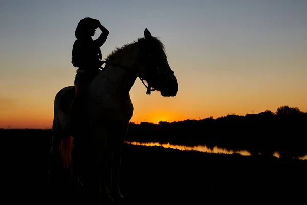 Silhouette Cowboy Cavalcare Stallone Cavallo Arabo Coloratissimo Tramonto Concetto Romantico — Foto Stock