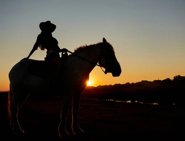 牛仔的轮廓 骑在阿拉伯马的马在五彩缤纷的日落 旅行背景的浪漫概念 — 图库照片