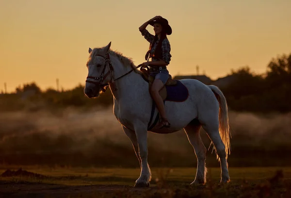 Gyönyörű Fiatal Hosszú Haj Cowboy Kalap Barna Szabadban Természetben — Stock Fotó
