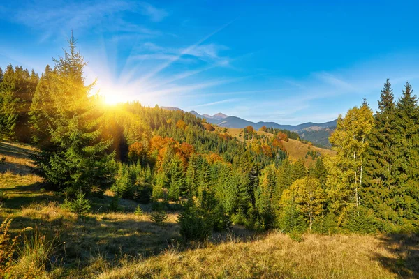 走进一个迷人的世界 就像你看到喀尔巴阡山脉秋天的灿烂 雄伟的山峰威严地耸立在生机勃勃的树叶的背景上 形成了迷人的彩色挂毯 深红色 琥珀色和金色的阴影D — 图库照片