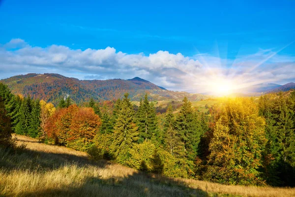 Contemplem Tapeçaria Hipnotizante Outono Nas Montanhas Cárpatas Picos Majestosos Estão — Fotografia de Stock