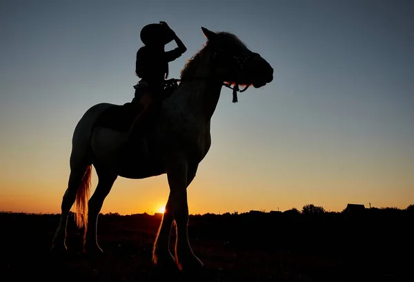 Sylwetka Kowboja Jazda Ogierze Arabskim Kolorowym Zachodzie Słońca Romantyczna Koncepcja — Zdjęcie stockowe