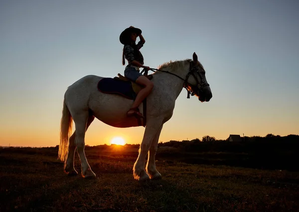Cowboy Sylwetka Koniu Podczas Piękny Zachód Słońca Sylwetka Dziewczynki Koniu — Zdjęcie stockowe