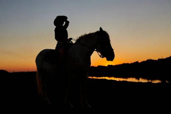 Donna Cavallo Che Cavalca Cavallo Galoppo Con Sole Nascente Rosso — Foto Stock