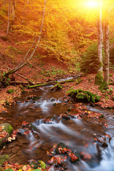 A majestic autumn river gracefully winds its way through a picturesque mountainous forest. The tranquil waters create a serene atmosphere, reflecting the vibrant hues of the surrounding fall foliage. The enchanting combination of flowing water, tower