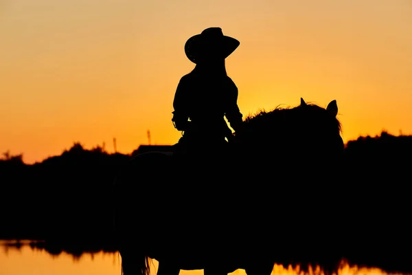 Силуэт Cowboy Ездить Арабской Лошади Жеребца Красочный Закат Романтическая Концепция — стоковое фото