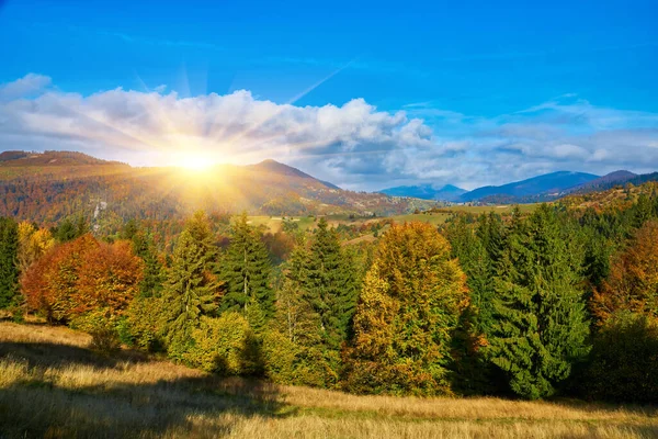 Floresta Dia Ensolarado Temporada Outono Paisagem Montesa — Fotografia de Stock