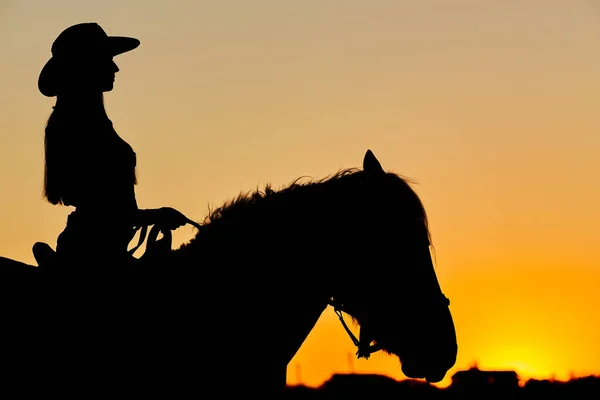 Sílhueta Cowboy Cavalo Durante Pôr Sol Agradável Silhueta Uma Menina — Fotografia de Stock