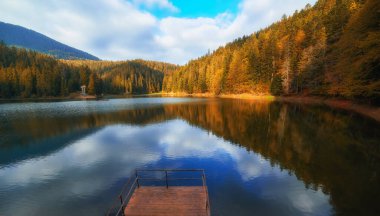 Lake in mystery fog with autumn forest. Ghostly mountain lake. Ukrainian lake Synevir