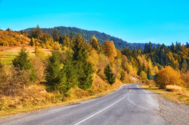 Resimli bir dağ yolu kayın ve çam ağaçlarıyla süslenmiş canlı bir sonbahar ormanı boyunca esiyor. Görkemli dağlar manzaralı arkaplanı çerçeveliyor.