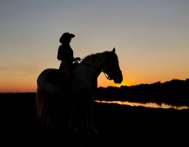 Kovboy silueti, renkli günbatımında Arap atına bin. Safari geçmişi için romantik bir kavram