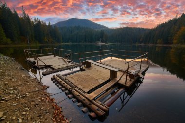 Sonbahar boyunca Karpat Dağları. Büyüleyici Synevir Gölü çevreleyen yeşilliklerin canlı renklerini yansıtır..
