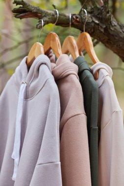 Several multicolored hoodies hang on hangers in a tree. Demonstration of different colors of clothes clipart