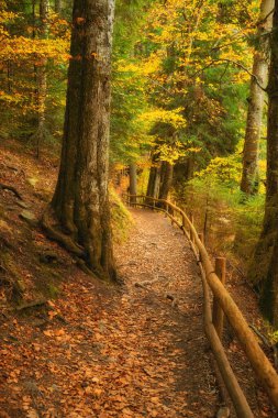 Resimli bir göl boyunca esen sonbahar ormanı yolu. Ahşap çit adımlarını zarifçe yönlendirir.