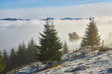 Nefes kesen bir gündoğumu, sakin sonbahar mevsiminde karla kaplı dağları aydınlatır. Hassas çam ağaçları ön planı süslerken sis uzaktaki görkemli zirveleri kaplıyor..