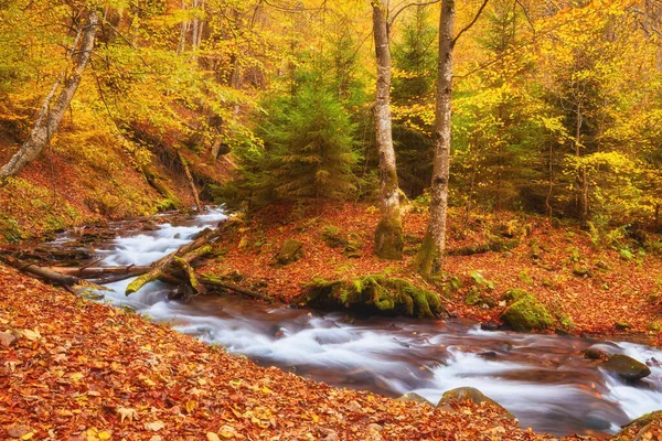 Autumn River Winds Picturesque Mountainous Forest Tranquil Waters Create Serene — Stock Photo, Image