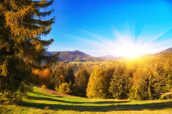 Autumn Carpathian Mountains Majestic Peaks Rise Majestically Backdrop Vibrant Foliage — Stock Photo, Image