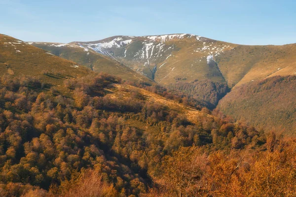 autumn in the Carpathian Mountains. Majestic peaks stand proudly, surrounded by a vibrant kaleidoscope of foliage.