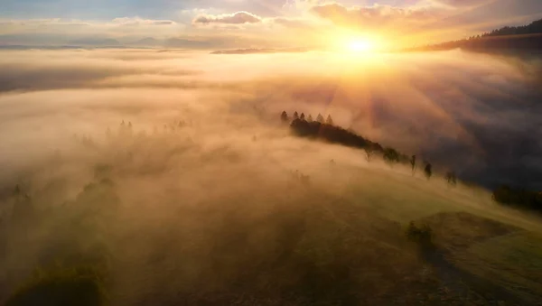 夜明けには山の上に霧が広がる 太陽は地平線に昇る 午前中にウクライナのカルパティア人 空中ドローンビュー — ストック写真