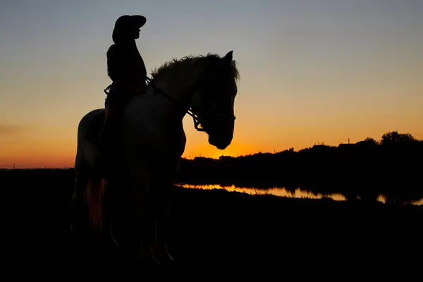Sílhueta Cowboy Cavalo Durante Pôr Sol Agradável Silhueta Uma Menina — Fotografia de Stock