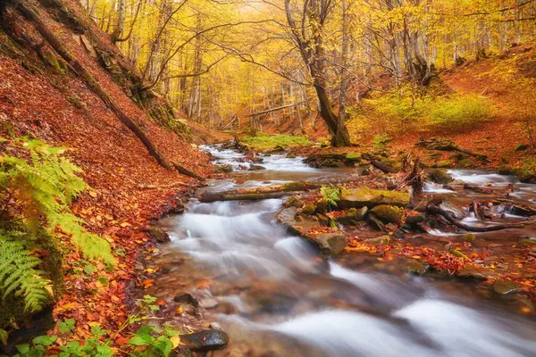 Majestic Autumn River Winds Its Way Picturesque Mountainous Forest Tranquil — Stock Photo, Image