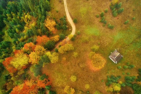 树叶季节森林的鸟瞰图 自然绿色 橙色和黄色背景 无人机的照片 — 图库照片