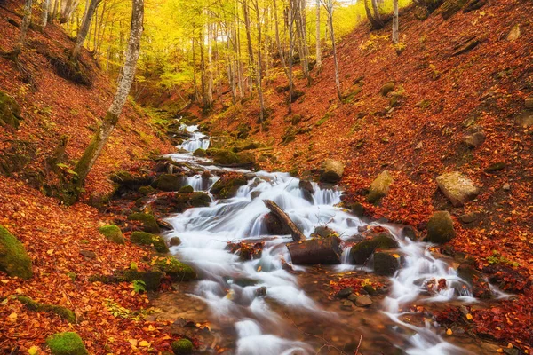 Sereno Rio Graciosamente Ventos Seu Caminho Através Uma Encantadora Floresta — Fotografia de Stock