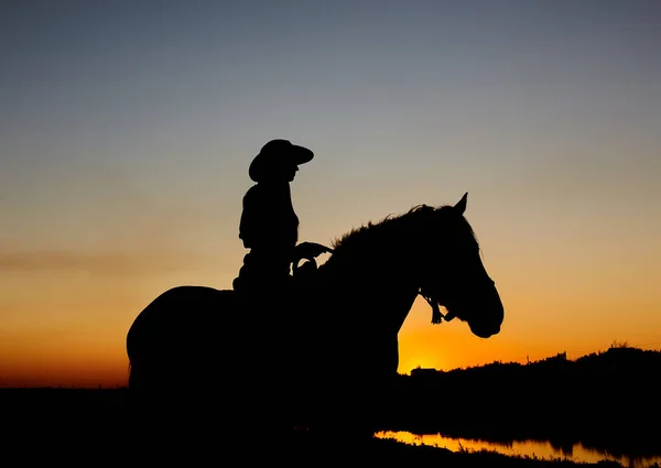 骑马的女人骑着飞奔的马 地平线上升起了红色的太阳 美丽多彩的日落头背景 配以马和女孩的轮廓 — 图库照片