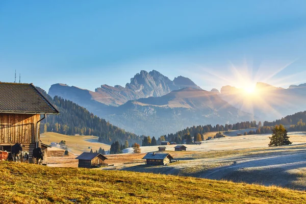 พระอาท Alpe Siusi Dolomites ใบไม — ภาพถ่ายสต็อก