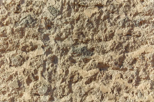贝壳岩石纹理背景 背景为壳岩灰岩的结构 自然形态 — 图库照片