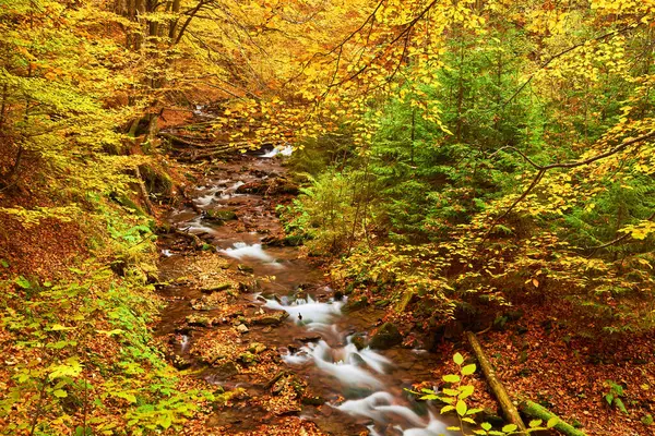 Rivière Automne Serpente Gracieusement Son Chemin Travers Une Forêt Montagneuse — Photo