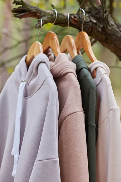 stock image Several multicolored hoodies hang on hangers in a tree. Demonstration of different colors of clothes