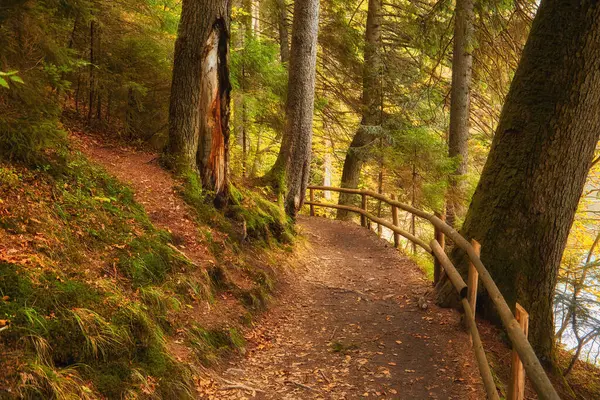 Herbstlicher Waldweg Der Sich Entlang Eines Malerischen Sees Schlängelt Der — Stockfoto