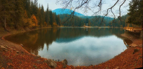 Lake Mystery Fog Autumn Forest Ghostly Mountain Lake Ukrainian Lake — Stockfoto