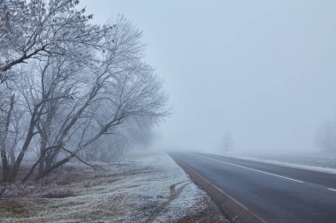 Buzlu ağaçlar, sisli bir atmosfer ve kaybolan asfalt bir yol ile kış sabahı. Uzağa doğru asfalt bir yol uzanıyor, sisin içinde kayboluyor, esrarengiz bileşimi ekliyor..