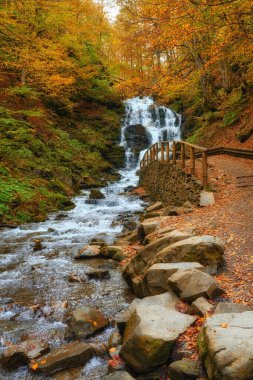 Karpat Dağları 'nın sonbahar ormanlarında güzel şelale gemisi