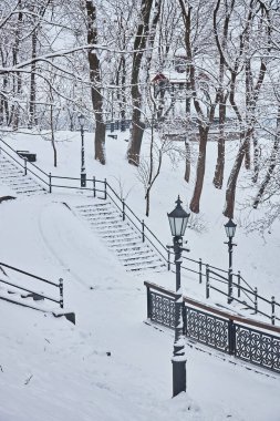 çok güzel park banklar ve yol büyük ağaçları kış