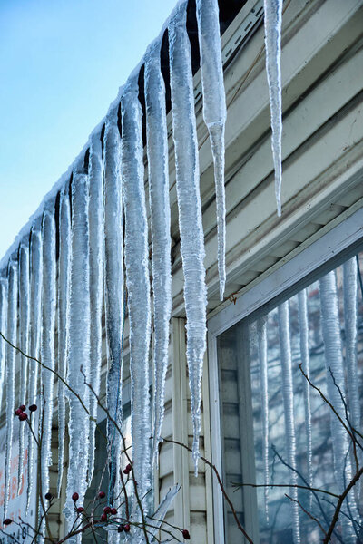 Huge icicles hang from the facades of buildings. The fall of icicles carries a danger to people's lives.
