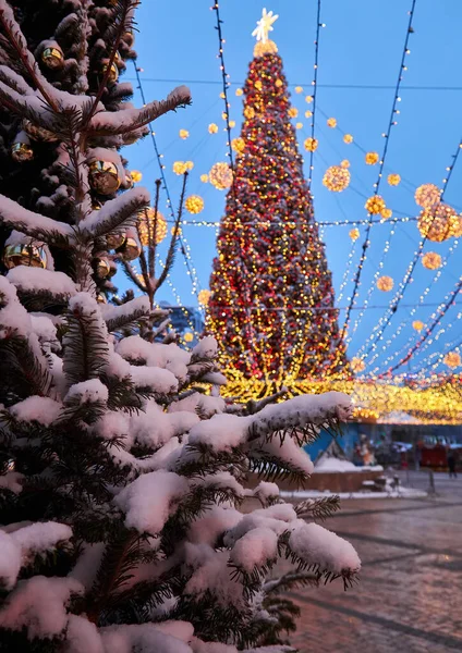 Weihnachtsbaum Mit Lichtern Draußen Der Nacht Kiev Sophia Kathedrale Hintergrund — Stockfoto