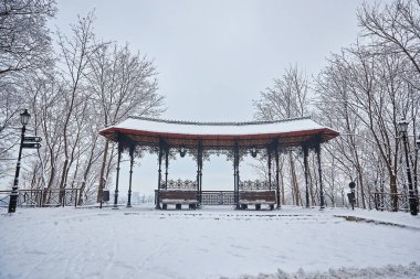 çok güzel park banklar ve yol büyük ağaçları kış