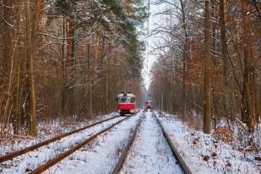 Canlı kırmızı bir tramvayın karla kaplı bir ormanda ilerlemesi büyüleyici bir kış sahnesi. Beyaz manzaraya karşı kırmızı tramvayın kontrastı gerçekten büyüleyici..