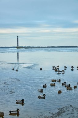 Buzlu yüzeyde zarif bir şekilde süzülen güzel bir deniz feneri ve ördekler ile çarpan mavi buzla kaplı donmuş bir rezervuarın bulunduğu sakin bir kış manzarası.
