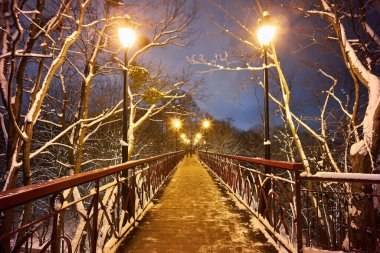 Aşıkların Köprüsü Mariyinsky Park kışın, Kiev, Ukrayna