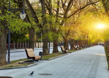 Sokaktaki şehir parkındaki ahşap banklar, taş taban rabitz ızgarasına sabitlenmiş, manzara tasarımı, vatandaşların dinlenme yeri. Yüksek kalite fotoğraf