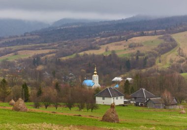 Bulutlu gri havada ıslak ve taze çimlerle yeşil bir çayırda kuru samanlı çok sayıda saman yığını.