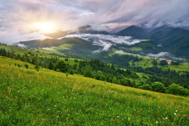 Alplerde yeşil çayırlar, çiçek açan çiçekler ve arka planda karla kaplı dağ tepeleri olan Idyllic manzarası.
