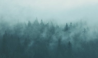 Dağlardaki soyut manzara, ormandaki sis...